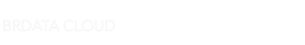 BRdata-cloud-text